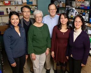 Researchers including, from left, graduate student Valeria Sanabria Guillen, research scientist Sung Hoon Kim, researcher Kathy Carlson, chemistry professor John Katzenellenbogen, research specialist Yvonne Ziegler, and molecular and integrative physiology professor Benita Katzenellenbogen developed new drug agents to inhibit a pathway that contributes to cancer. The compounds killed cancer cells and reduced the growth of breast cancer tumors in mice.